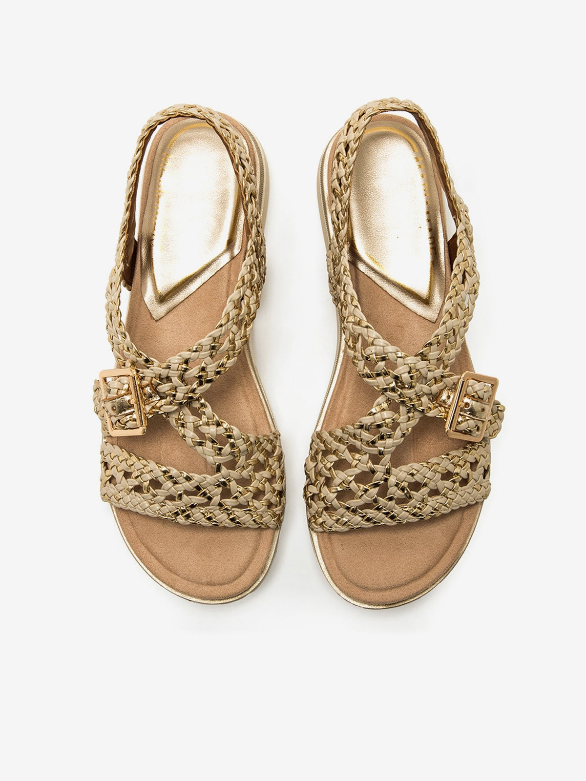 CICALA BEIGE